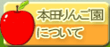 本田りんご園について