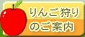 りんご狩りのご案内