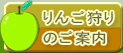 りんご狩りのご案内