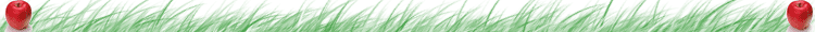 Page_Top