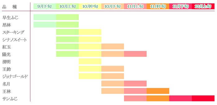 りんごの品種とりんご狩りの時期