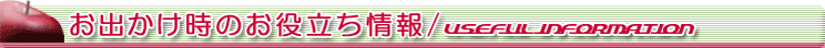 お出かけ時のお役立ち情報